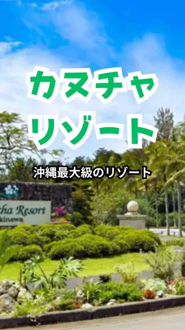 おっきー 🍍沖縄人のTikTok投稿