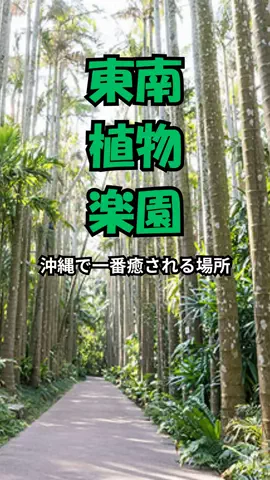 おっきー 🍍沖縄人のTikTok投稿