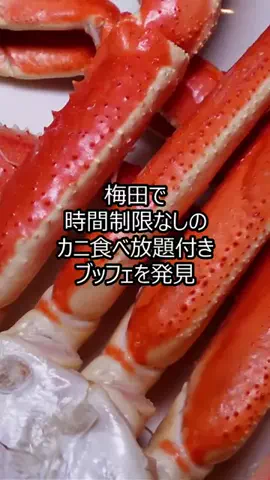 ゴリパン日記【ビュッフェ❤️食べ放題】のTikTok投稿