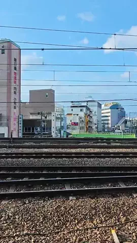 ゴリパン日記【ビュッフェ❤️食べ放題】のTikTok投稿