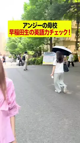 StudyInネイティブ英会話のTikTok投稿