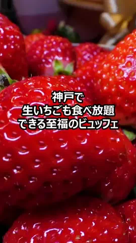 ゴリパン日記【ビュッフェ❤️食べ放題】のTikTok投稿