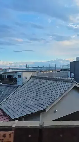 ゴリパン日記【ビュッフェ❤️食べ放題】のTikTok投稿