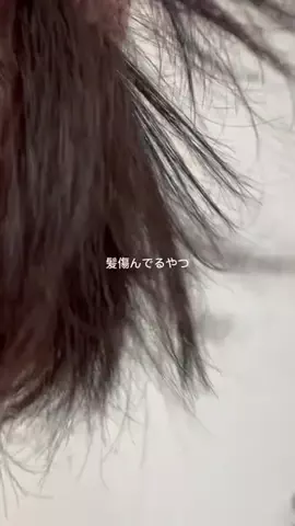 あいちゃんのTikTok投稿