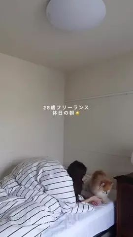 KiwaのTikTok投稿