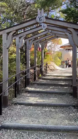 tona_travelのTikTok投稿