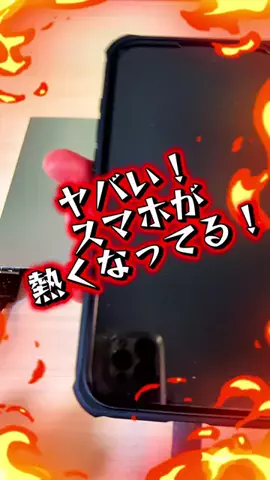 ナルド一家ちゃんねるのTikTok投稿
