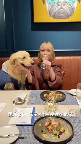おにゅこじハウスのTikTok投稿