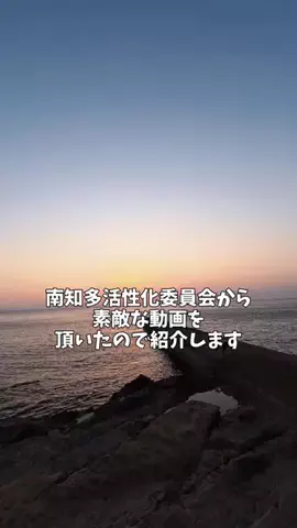 ポロ_身近なお出かけスポット紹介のTikTok投稿