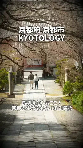 ポロ_身近なお出かけスポット紹介のTikTok投稿