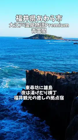 ポロ_身近なお出かけスポット紹介のTikTok投稿