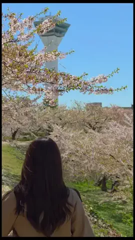 yuaのTikTok投稿