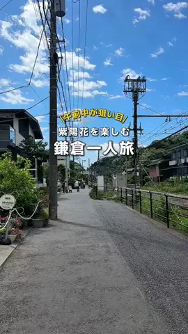 シュン | 大人の休日ガイドのTikTok投稿