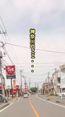 神奈川情報局のTikTok投稿
