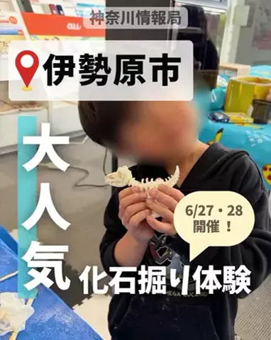 神奈川情報局のTikTok投稿