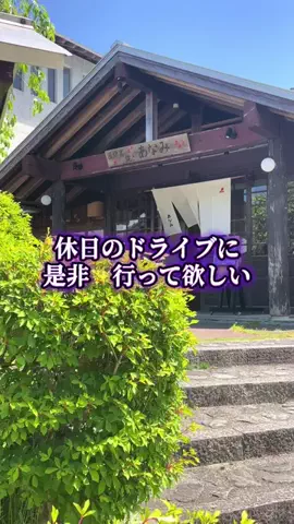 真理🌈ᵕ̈*のTikTok投稿
