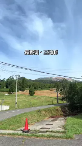 Sample2023のTikTok投稿