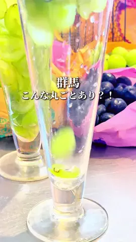 ぐるねこ｜群馬グルメ・おでかけのTikTok投稿