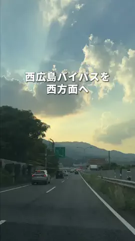 鯉の介。のTikTok投稿