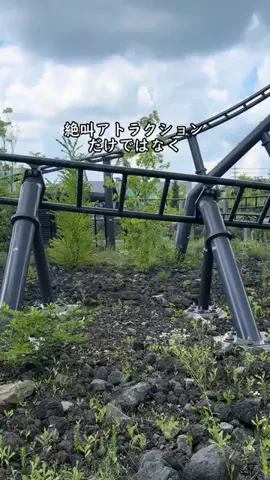 Sample2023のTikTok投稿