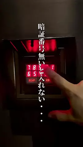神戸グルメまひろのTikTok投稿