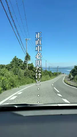 神戸グルメまひろのTikTok投稿