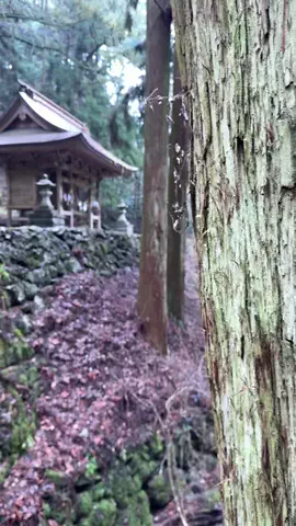 岡山を切り撮る人のTikTok投稿