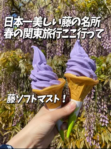 かのん様🐰🎀 ホテルヤドカリ女王様🐚👑のTikTok投稿