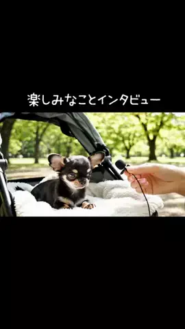 犬猫総合製薬株式会社のTikTok投稿