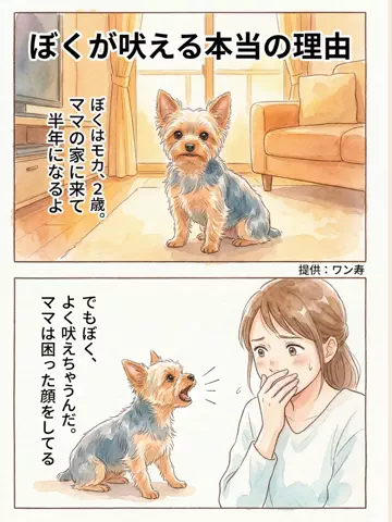 犬猫総合製薬株式会社のTikTok投稿