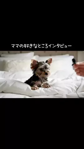 犬猫総合製薬株式会社のTikTok投稿