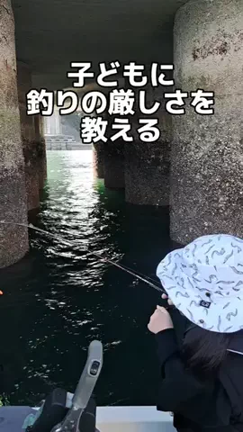 広島たにさんのぼれやびゃー動画のTikTok投稿