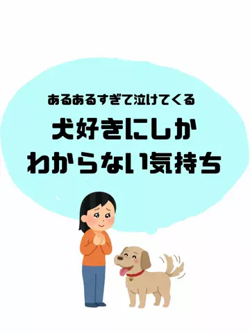 犬猫総合製薬株式会社のTikTok投稿