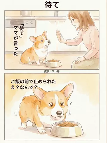 犬猫総合製薬株式会社のTikTok投稿