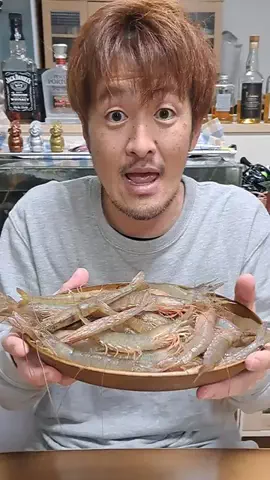 広島たにさんのぼれやびゃー動画のTikTok投稿