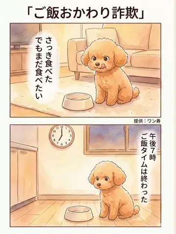 犬猫総合製薬株式会社のTikTok投稿