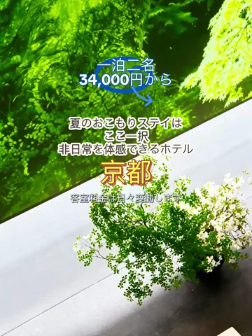 日々旅にしてホテル暮らしのTikTok投稿
