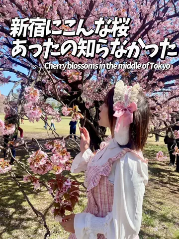 かのん様🐰🎀 ホテルヤドカリ女王様🐚👑のTikTok投稿