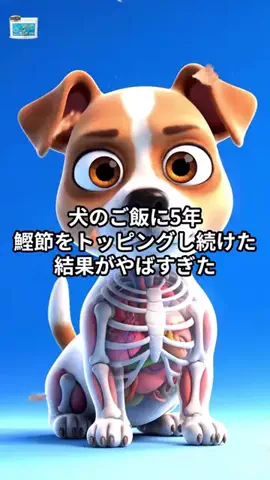 犬猫総合製薬株式会社のTikTok投稿
