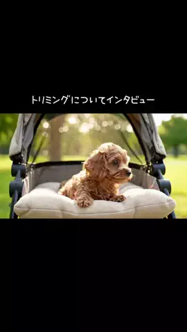 犬猫総合製薬株式会社のTikTok投稿