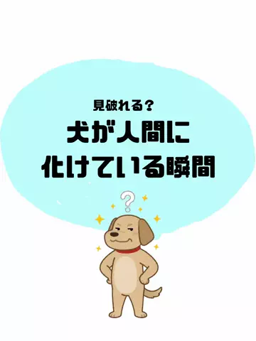 犬猫総合製薬株式会社のTikTok投稿