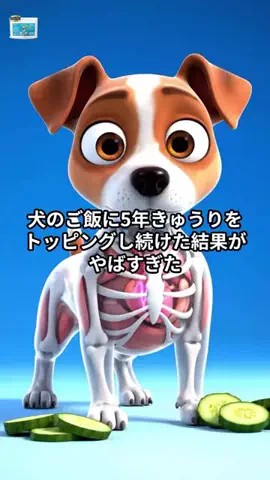 犬猫総合製薬株式会社のTikTok投稿