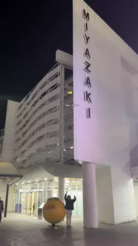 宮崎観光グルメハンターeiseiのTikTok投稿