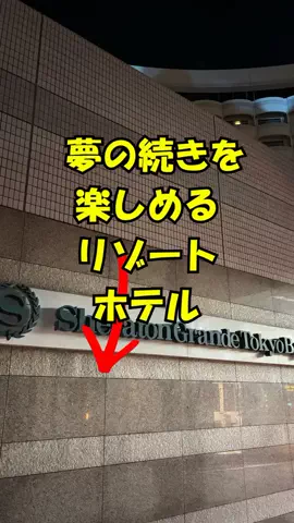おっきー 🍍沖縄人のTikTok投稿