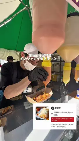 SAPPORO PRESSのTikTok投稿