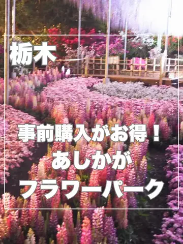 まんぷくオンニ｜ホテル旅のTikTok投稿