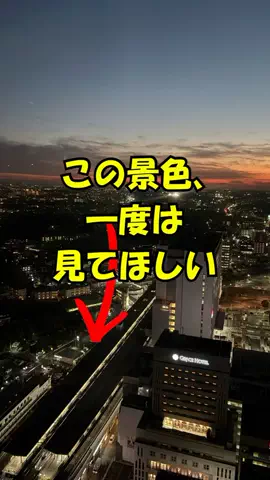 おっきー 🍍沖縄人のTikTok投稿