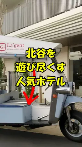 おっきー 🍍沖縄人のTikTok投稿