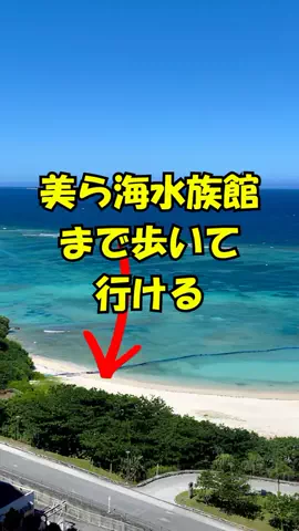 おっきー 🍍沖縄人のTikTok投稿
