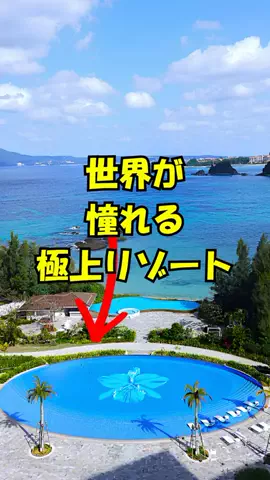 おっきー 🍍沖縄人のTikTok投稿
